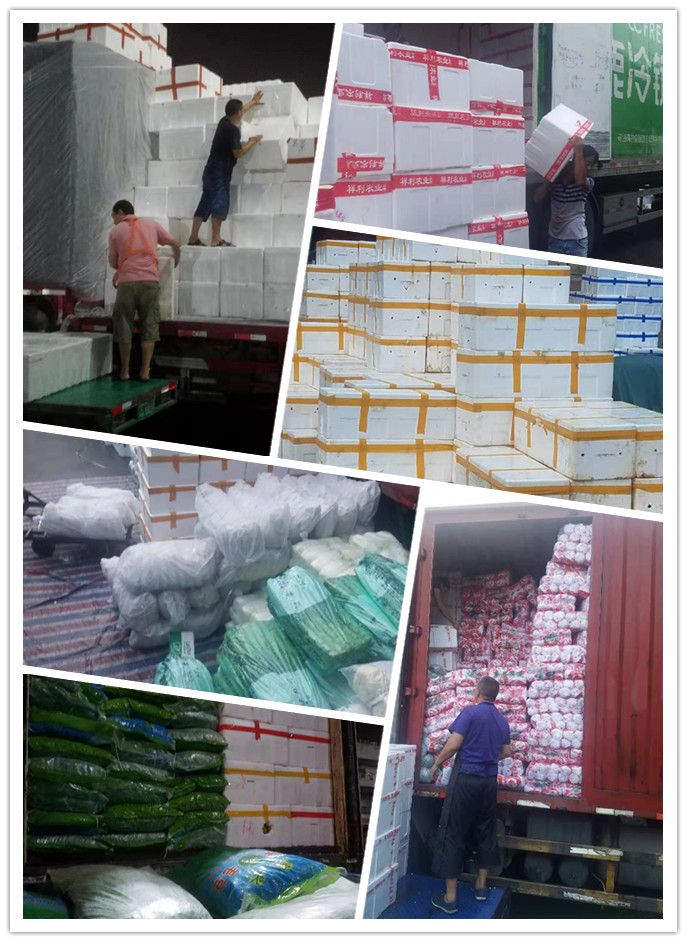 J9���ʼ���(�й�)-�ٷ���վ