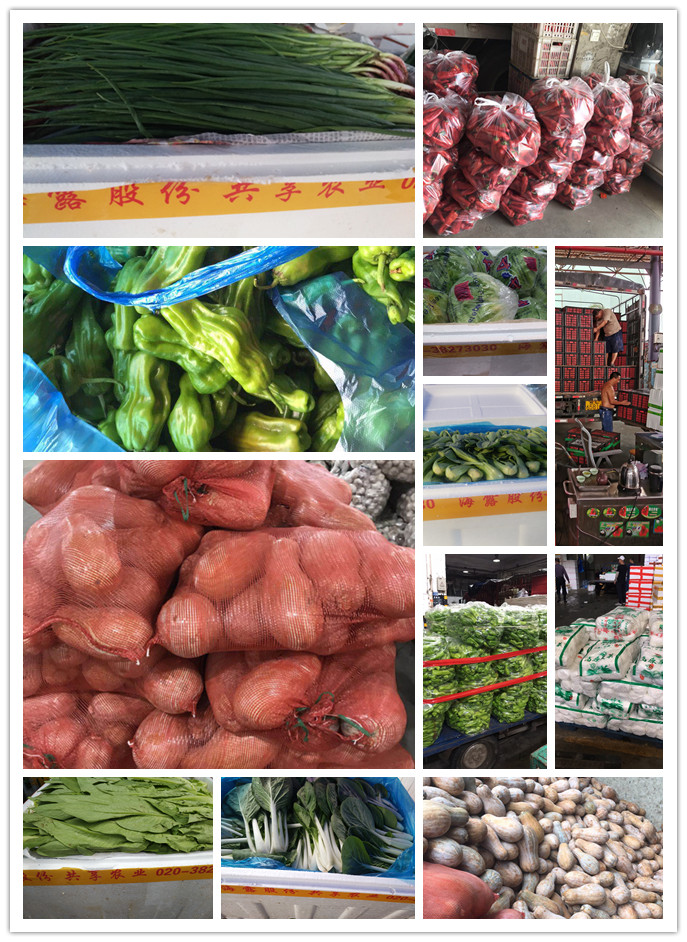 J9���ʼ���(�й�)-�ٷ���վ