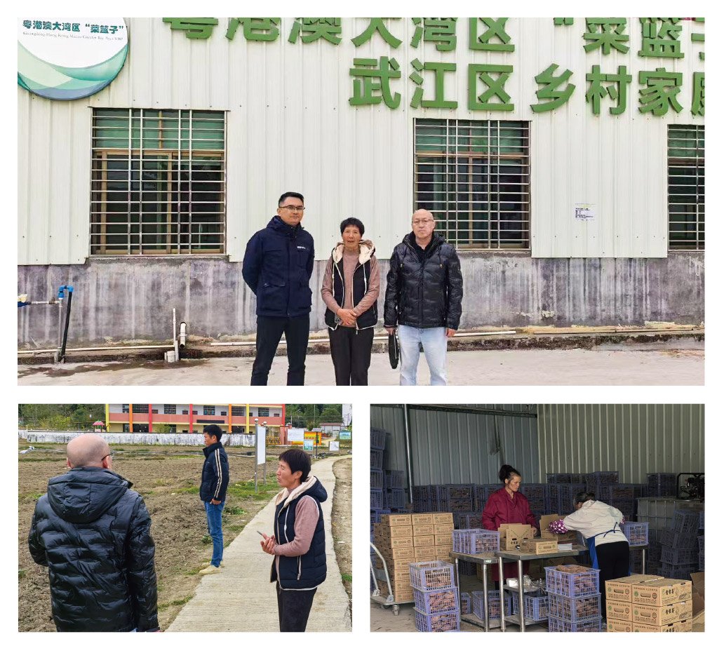 1-2412240942025K J9国际集团(中国)-官方网站